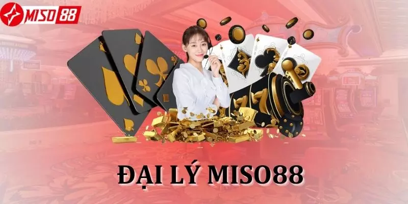 dai-ly-Miso88