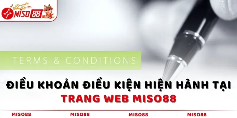 Điều khoản điều kiện hiện hành tại trang web MISO88